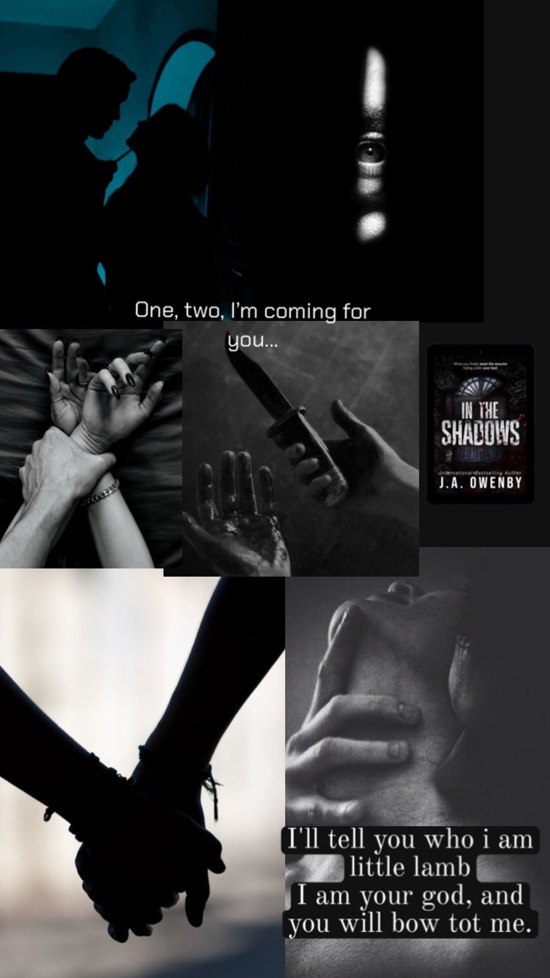 Dark Stalker Romance In the Shadows door J.A. Owenby