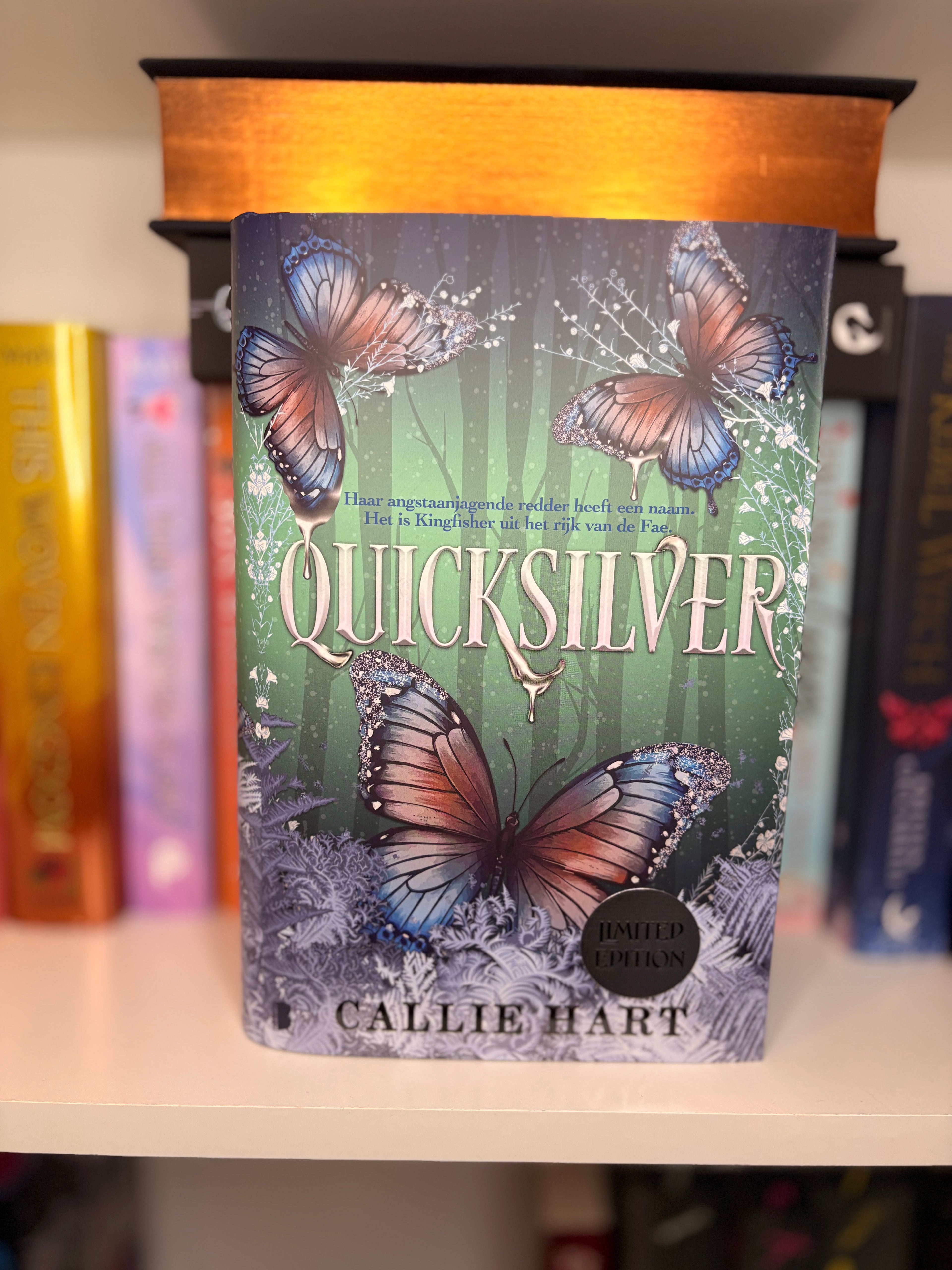 Quicksilver NL — Hardback