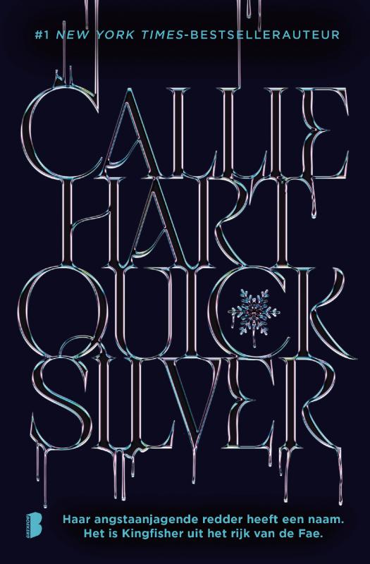 Quicksilver NL — Hardback