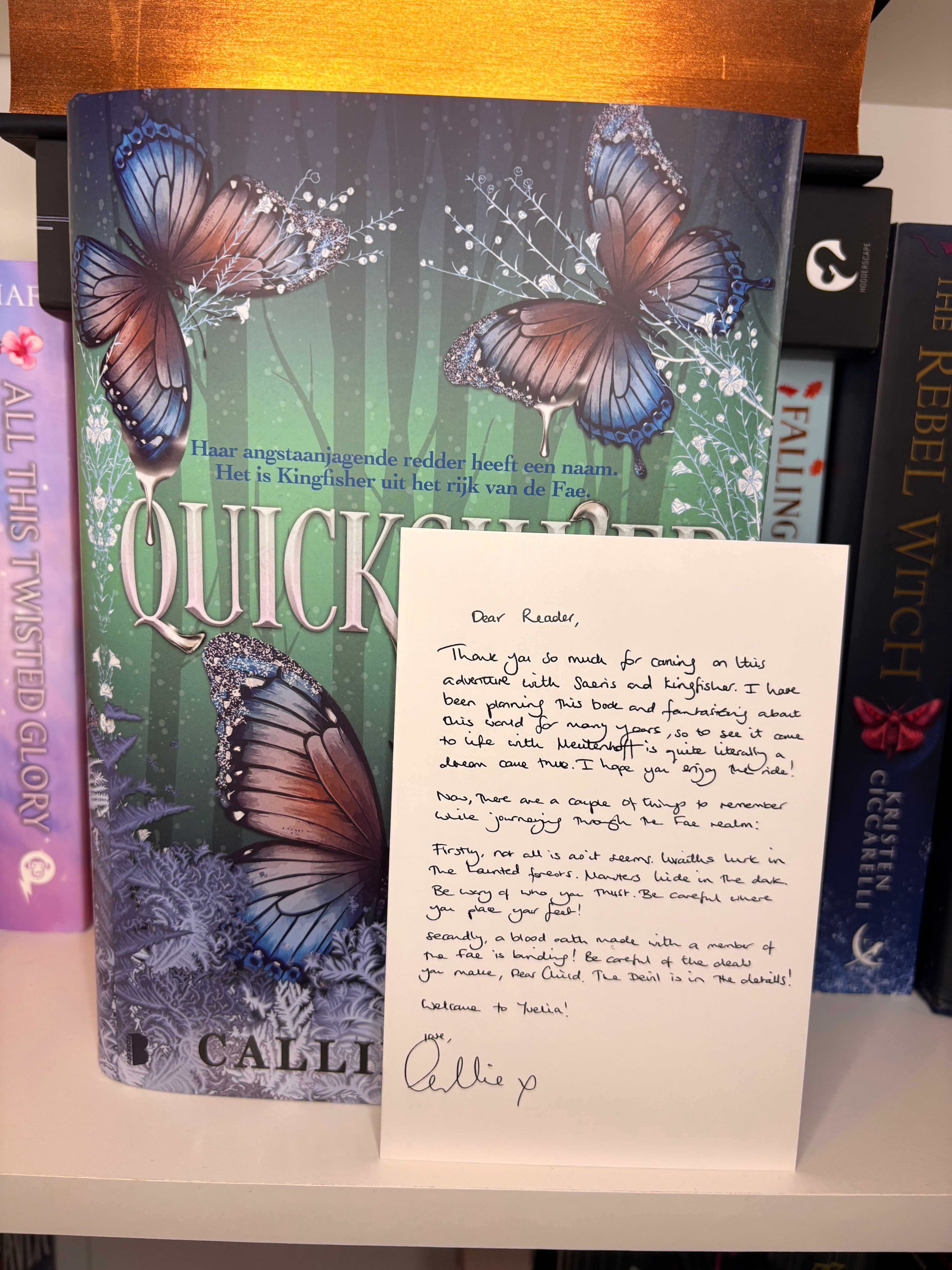 Quicksilver NL — Hardback